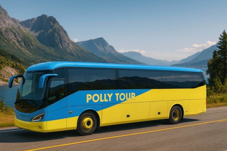 יתרונות הסעות מאורגנות לטיולים יתרונות הסעות מאורגנות לטיולים