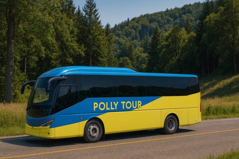 תמחור ועלויות של הסעות לטיולים תמחור ועלויות של הסעות לטיולים